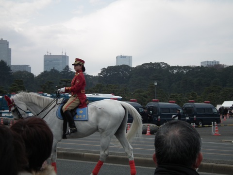 一般参賀2012